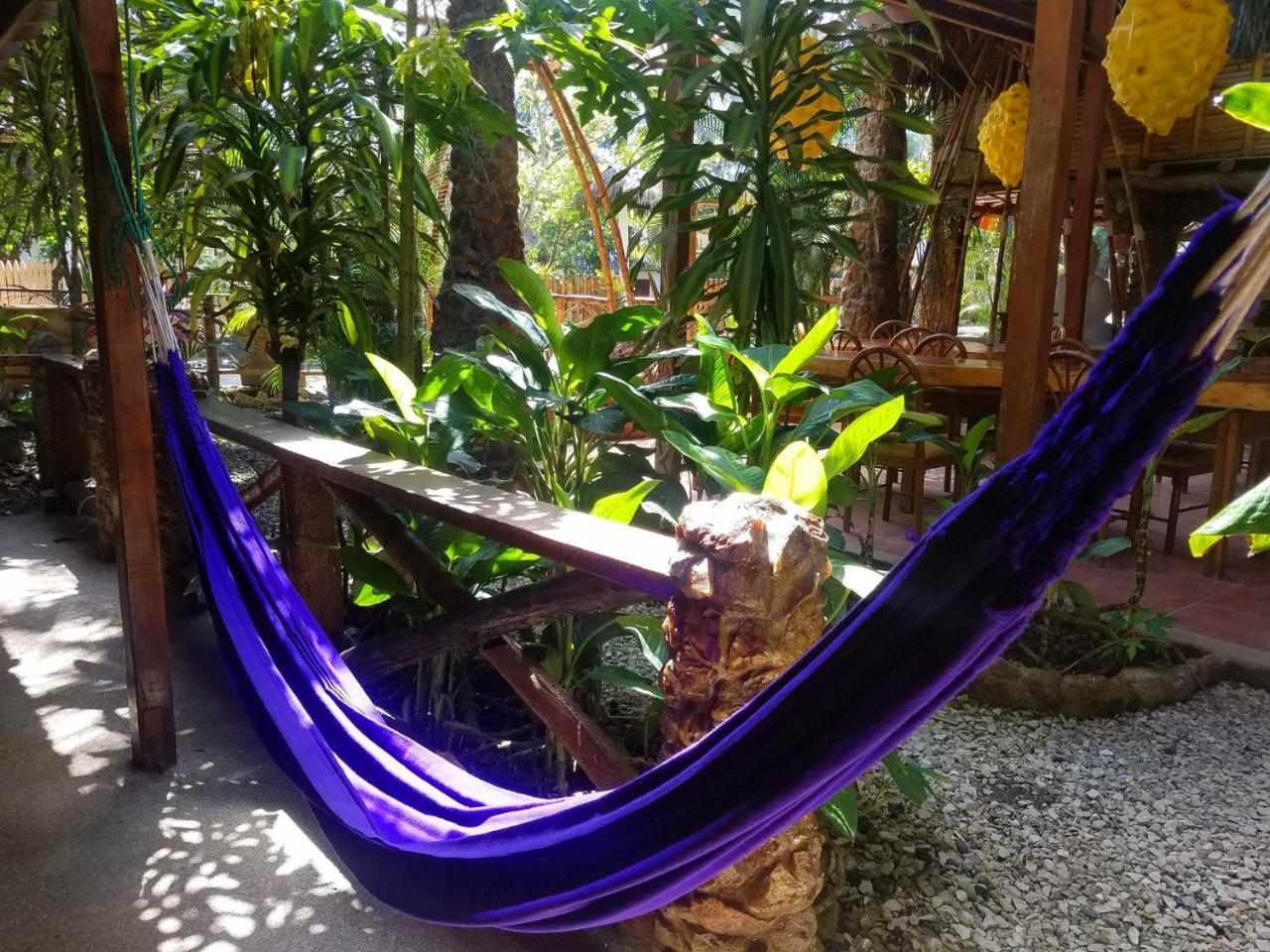 Casa Del Sol Hostel Montañita Екстериор снимка